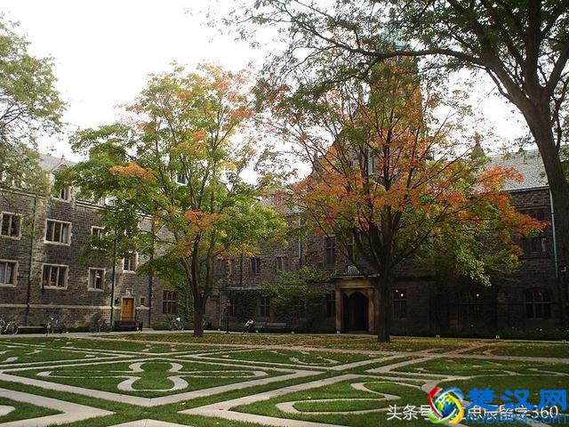 多伦多大学哪个专业好