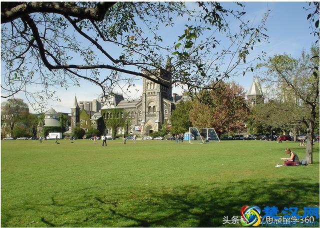 多伦多大学哪个专业好