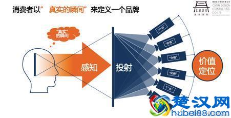 辣条产品这么多，为什么只火了卫龙？