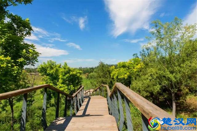 独家探秘丨通州这座会喝水的雨水花园露出真容，神奇“海绵体”美炸天了！