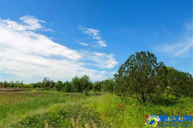 独家探秘丨通州这座会喝水的雨水花园露出真容，神奇“海绵体”美炸天了！