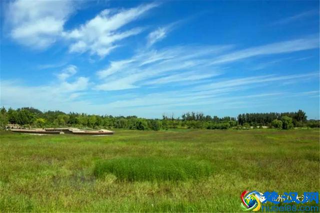 独家探秘丨通州这座会喝水的雨水花园露出真容，神奇“海绵体”美炸天了！