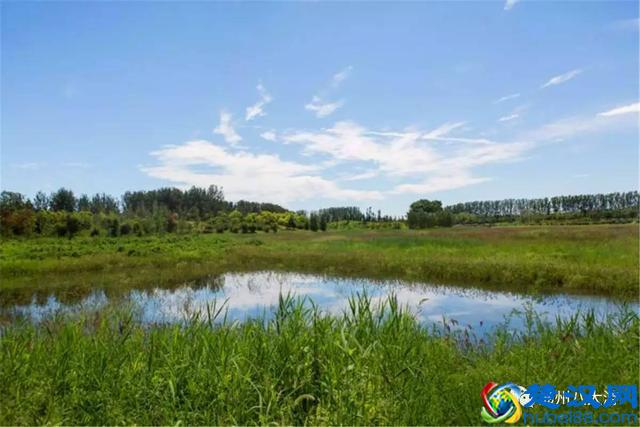 独家探秘丨通州这座会喝水的雨水花园露出真容，神奇“海绵体”美炸天了！