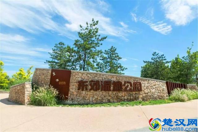 独家探秘丨通州这座会喝水的雨水花园露出真容，神奇“海绵体”美炸天了！