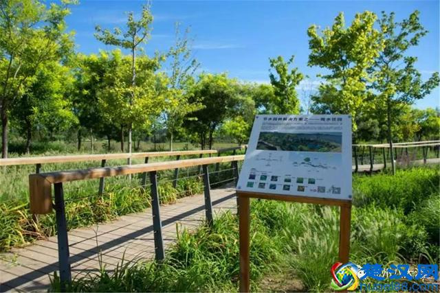 独家探秘丨通州这座会喝水的雨水花园露出真容，神奇“海绵体”美炸天了！