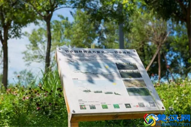 独家探秘丨通州这座会喝水的雨水花园露出真容，神奇“海绵体”美炸天了！