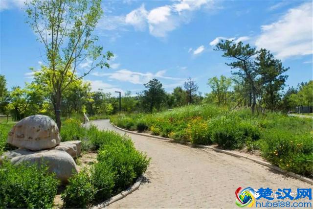 独家探秘丨通州这座会喝水的雨水花园露出真容，神奇“海绵体”美炸天了！