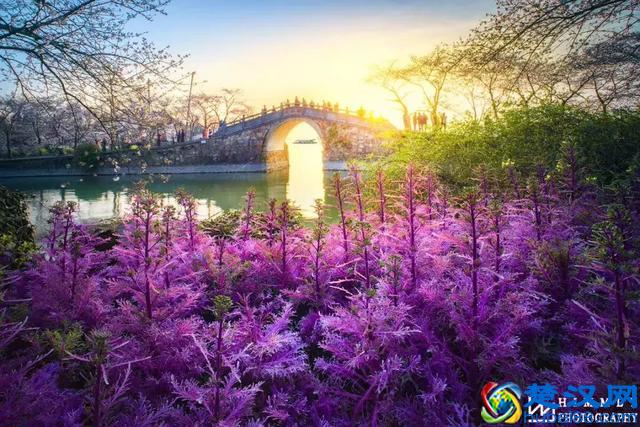 他在风光摄影中，拍出了骨子里的中国风韵