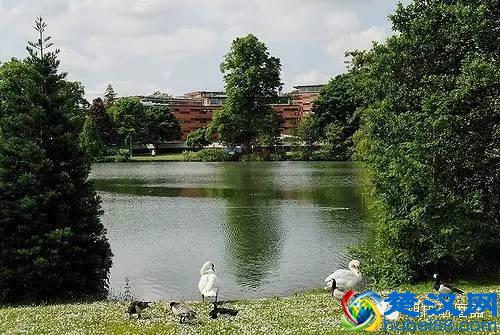 伯明翰大学学校宿舍大放送！手别抖！