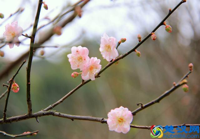 学会淡定从容，才能做生活强者，更能让人折服