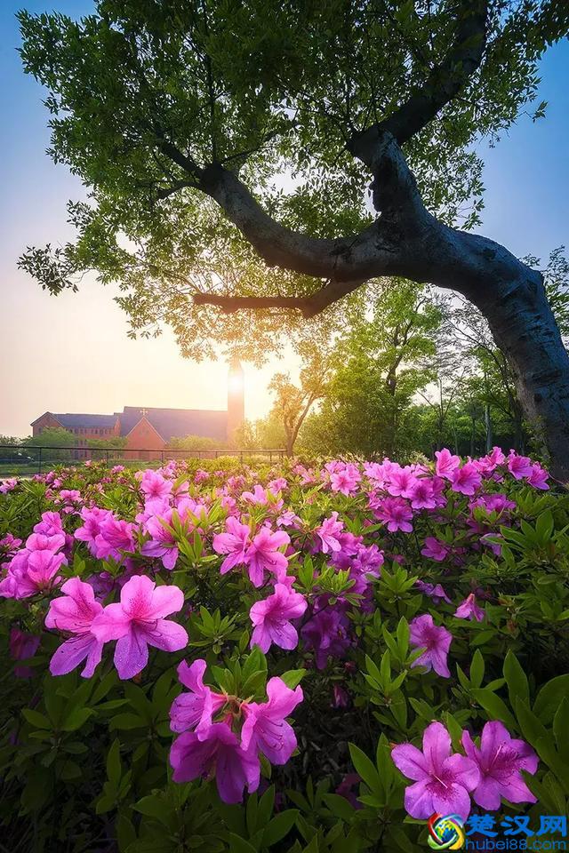 他在风光摄影中，拍出了骨子里的中国风韵