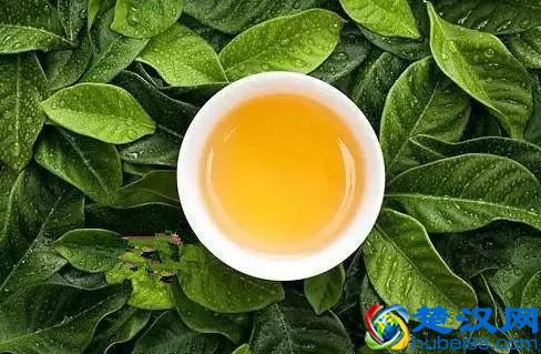 吃什么食物减肥：全球公认减脂效果最好的8种食物