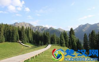 妈妈的生日礼物，十五个送给妈妈的礼物