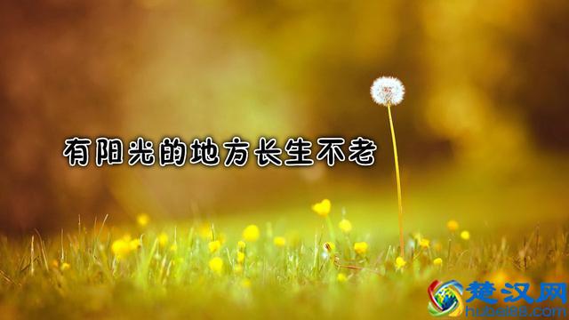 记住这句老话：树欲静而风不止，子欲养而亲不待