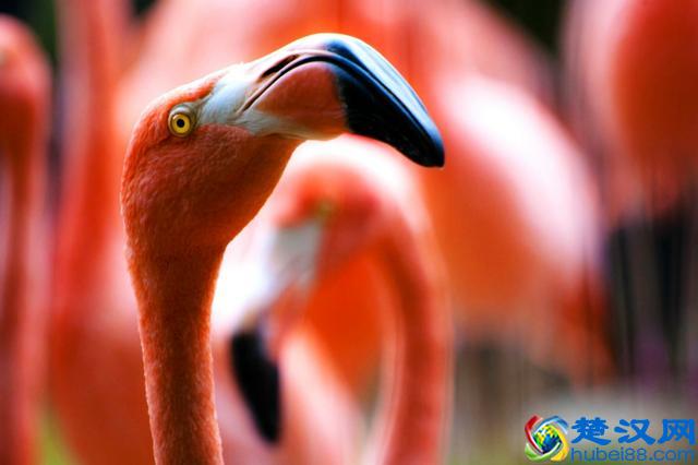 口舌之争，没什么意思，何必那么犀利？