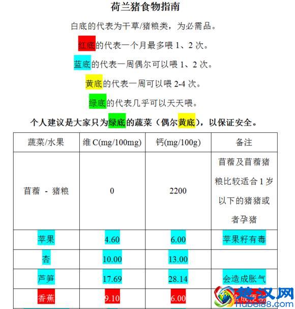 荷兰猪的主要食谱以及什么蔬菜可以吃什么蔬菜不可以吃