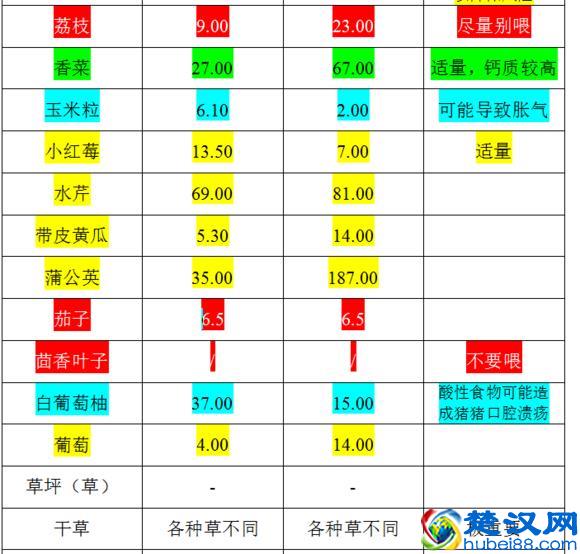 荷兰猪的主要食谱以及什么蔬菜可以吃什么蔬菜不可以吃