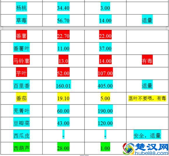 荷兰猪的主要食谱以及什么蔬菜可以吃什么蔬菜不可以吃
