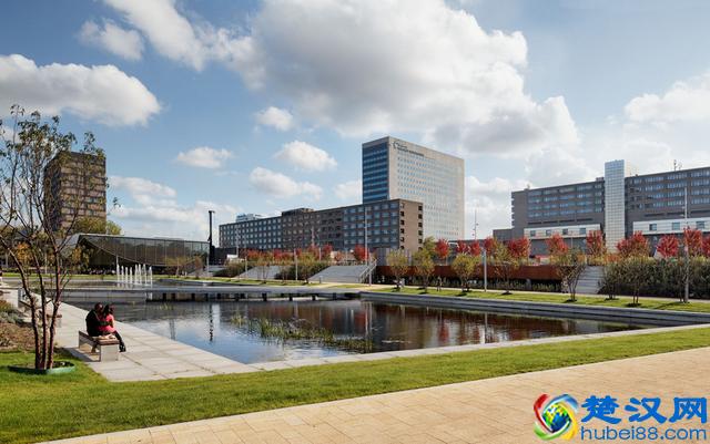 2019荷兰名校推荐之鹿特丹伊拉斯姆斯大学