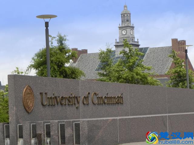 辛辛那提大学世界排名