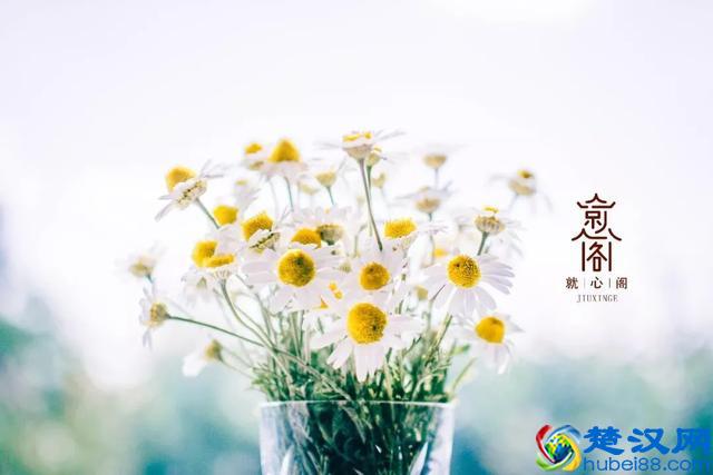 什么是炎症？炎症是机体对于刺激的一种防御反应而非真正病因