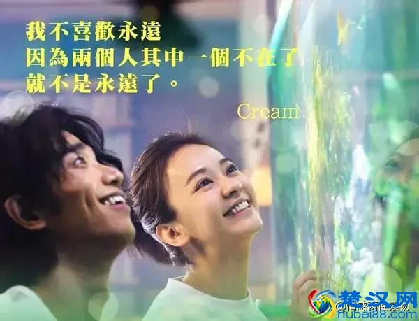 《比悲伤更悲伤的故事》看完泪奔，也明白了几个道理