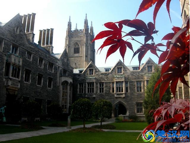 加拿大多伦多大学三大校区，哪个最好？