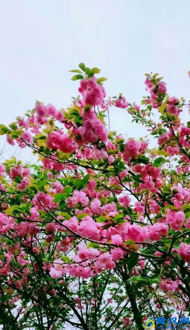 2019中国生物工程学专业大学排名 前二十强出炉！