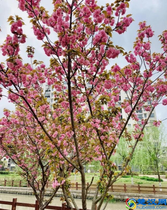 2019中国生物工程学专业大学排名 前二十强出炉！