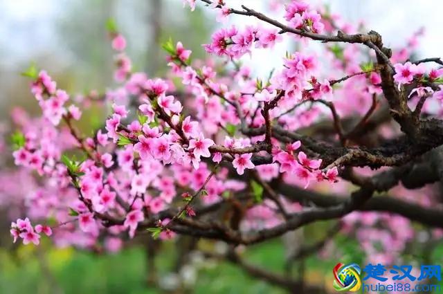 2019中国生物工程学专业大学排名 前二十强出炉！