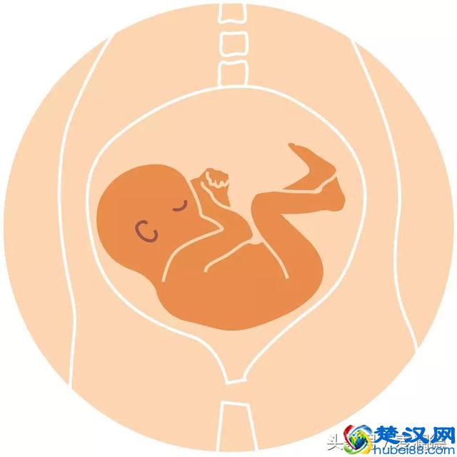 彩超单上的LOA是什么意思？最适合顺产的胎位是哪个？