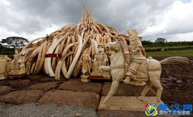 常听到象牙塔 到底是个什么词