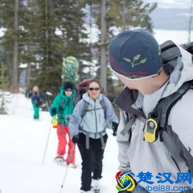 美国留学｜华盛顿州立大学Washington State University