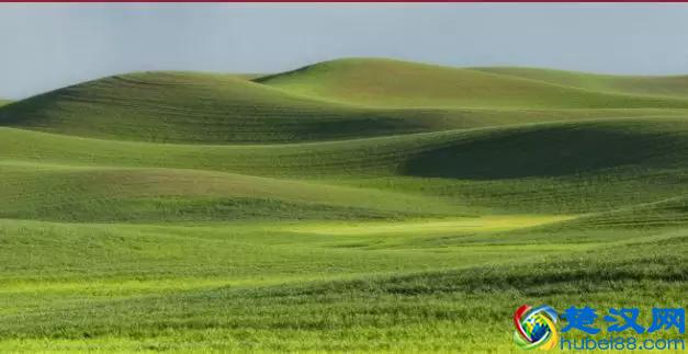 美国留学｜华盛顿州立大学Washington State University