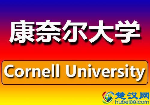 康奈尔大学（Cornell University）