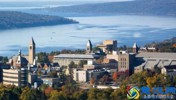 康奈尔大学（Cornell University）