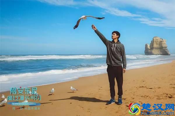 看这部电影，是给不安情绪的一个慰藉