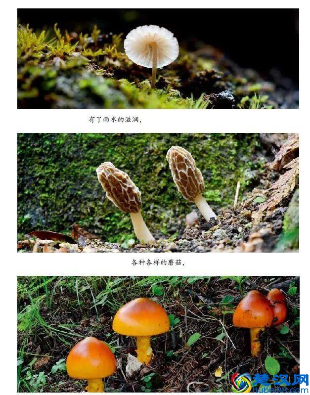 90%孩子在看的《东方娃娃》，给孩子一整年的阅读计划