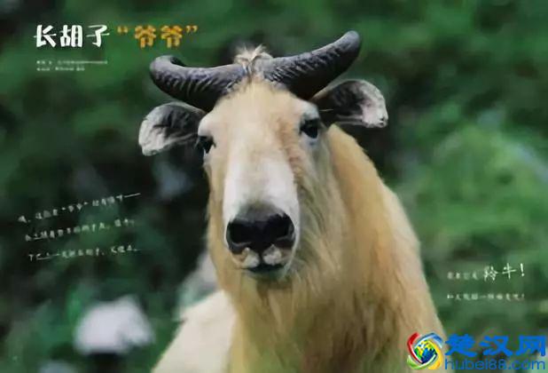 90%孩子在看的《东方娃娃》，给孩子一整年的阅读计划