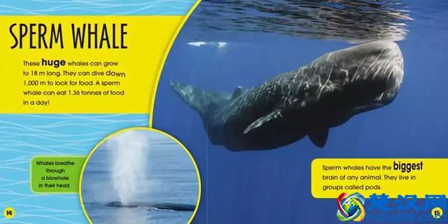 90%孩子在看的《东方娃娃》，给孩子一整年的阅读计划