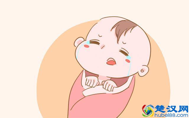 为什么羊奶粉更适合宝宝？这几点好处，牛奶粉比不了