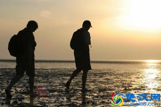 最近很火爆的情感语录伤感说说，总有一句写进你我心里！