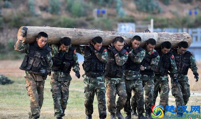 当了逃兵被处罚，亏不亏？你怎么看？