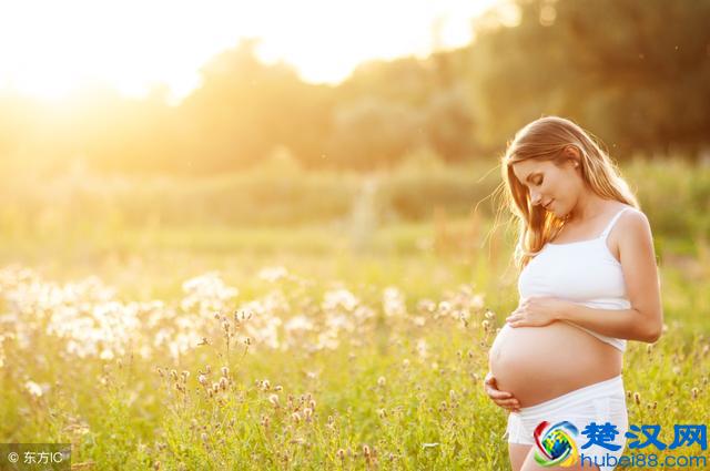 孕妇吃什么可以排除胎毒？答案无非是这7个