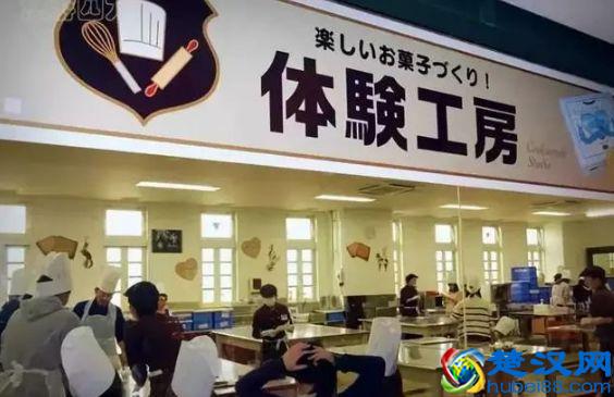 农产品加工厂如何玩转休闲观光？做好这几点很重要