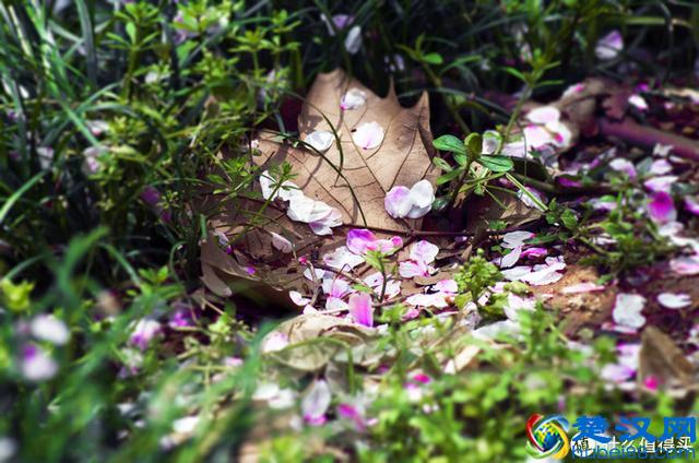 兜兜转转，我为何还是钟爱卡片机？