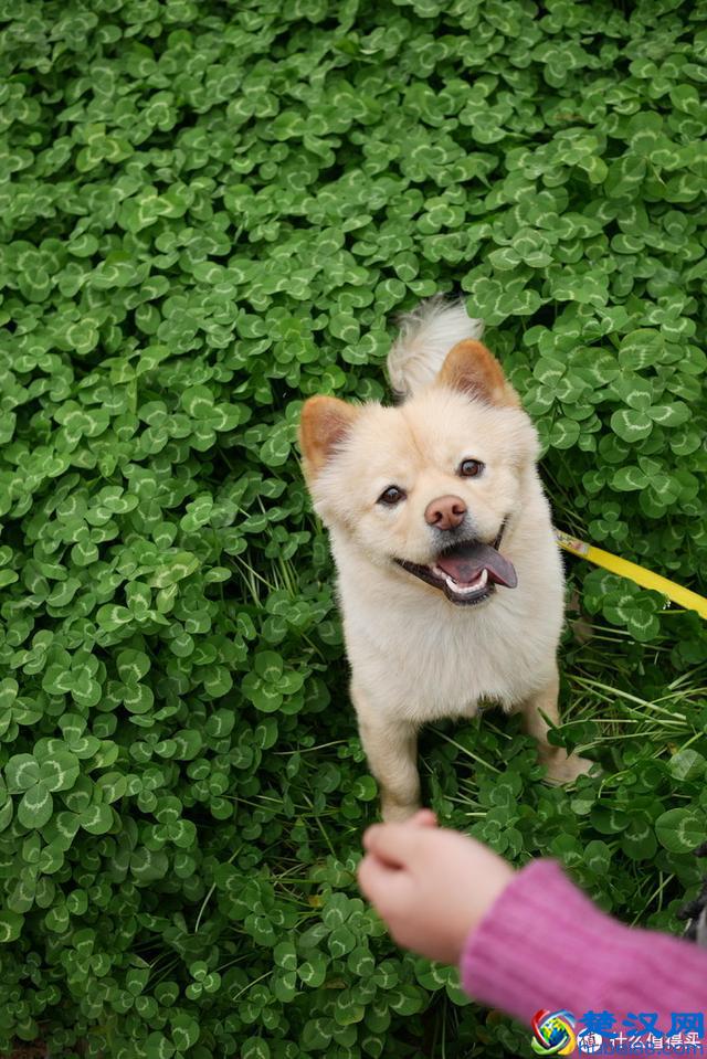 兜兜转转，我为何还是钟爱卡片机？