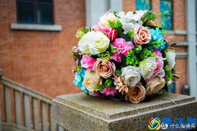 兜兜转转，我为何还是钟爱卡片机？