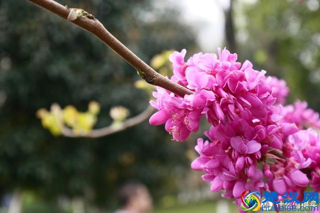 兜兜转转，我为何还是钟爱卡片机？