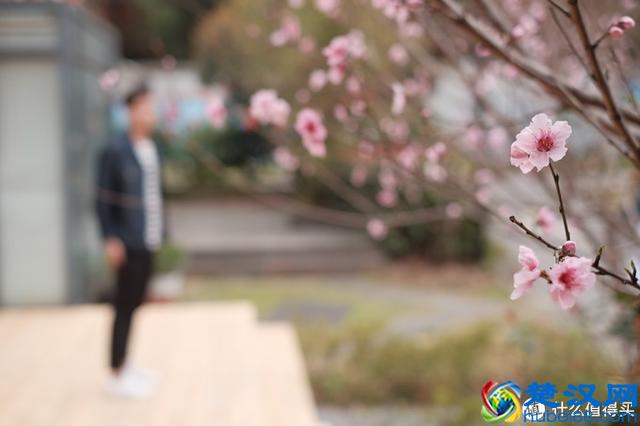 兜兜转转，我为何还是钟爱卡片机？